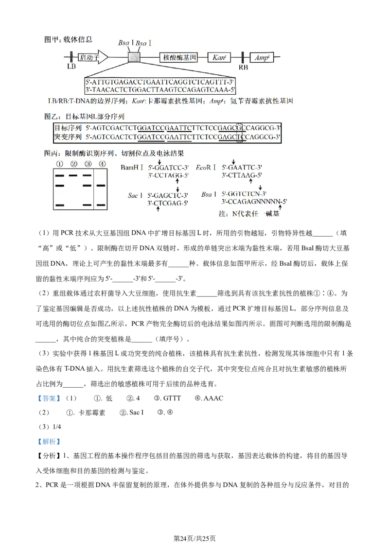2024年高考生物试卷（山东）（解析卷）_生物历年高考真题_新&middot;Word版2008-2025&middot;高考生物真题_生物（按年份分类）2008-2025_2024&middot;高考生物真题