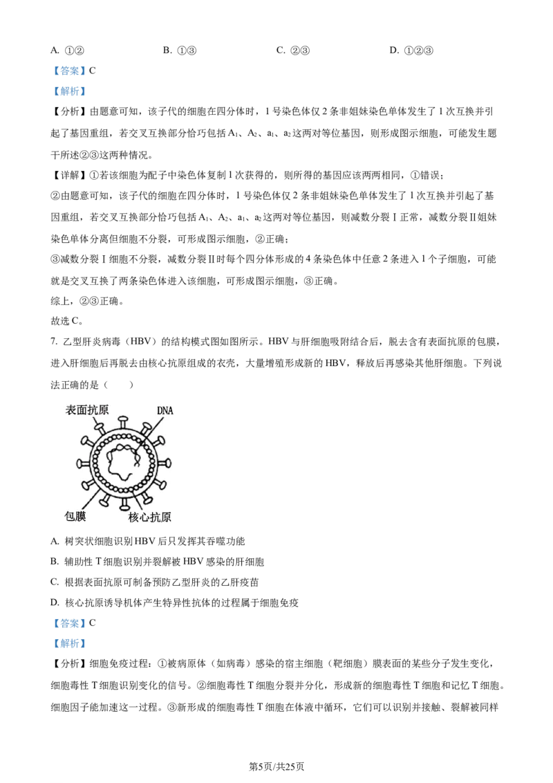 2024年高考生物试卷（山东）（解析卷）_生物历年高考真题_新&middot;Word版2008-2025&middot;高考生物真题_生物（按年份分类）2008-2025_2024&middot;高考生物真题