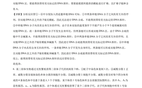 2024年高考生物试卷（山东）（解析卷）_生物历年高考真题_新&middot;Word版2008-2025&middot;高考生物真题_生物（按年份分类）2008-2025_2024&middot;高考生物真题