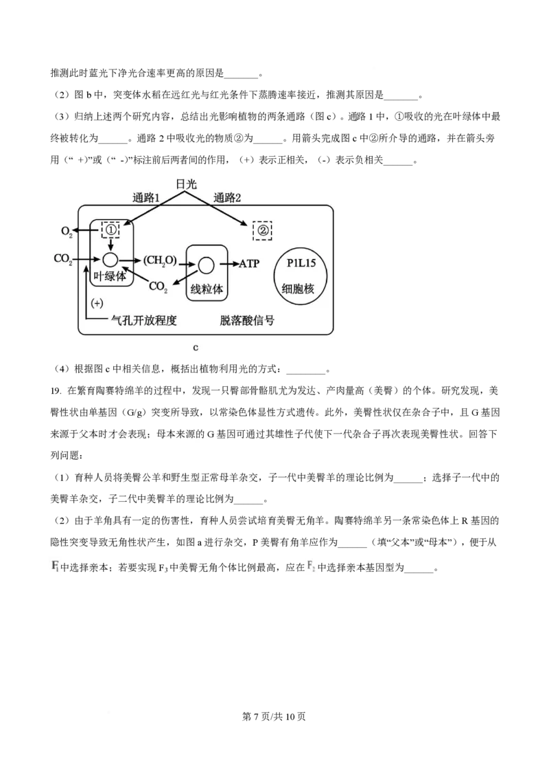 2025年高考生物试卷（广东卷）（空白卷）_生物历年高考真题_新&middot;PDF版2008-2025&middot;高考生物真题_生物（按年份分类）2008-2025_2025&middot;高考生物真题