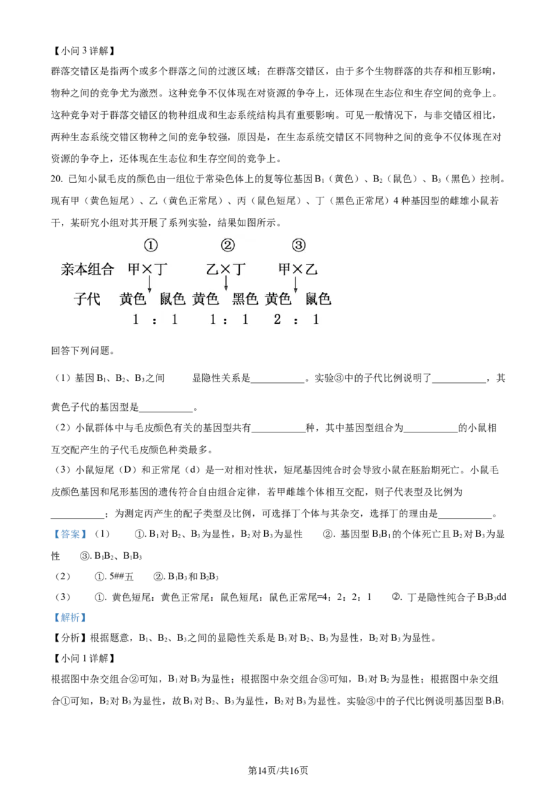 2024年高考生物试卷（贵州）（解析卷）_生物历年高考真题_新&middot;Word版2008-2025&middot;高考生物真题_生物（按年份分类）2008-2025_2024&middot;高考生物真题