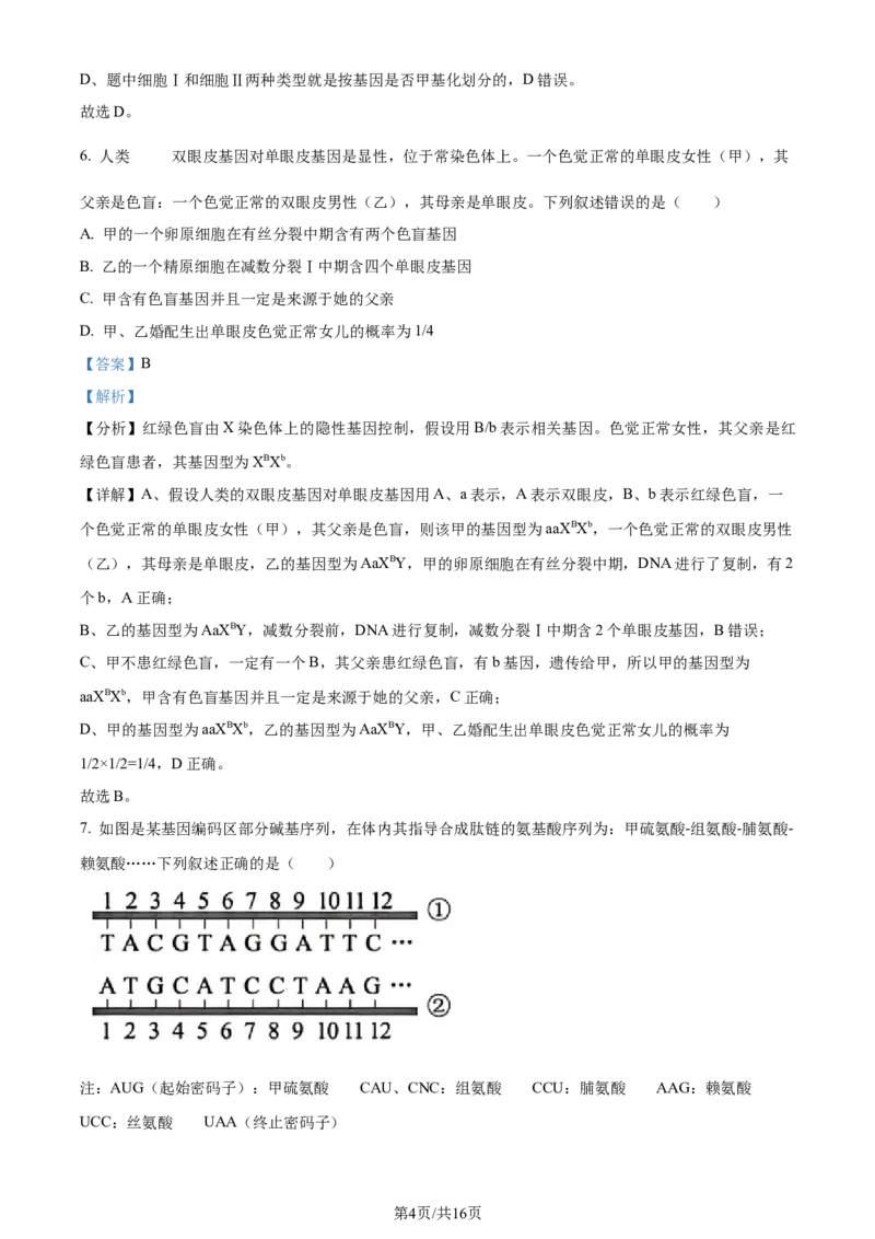 2024年高考生物试卷（贵州）（解析卷）_生物历年高考真题_新&middot;Word版2008-2025&middot;高考生物真题_生物（按年份分类）2008-2025_2024&middot;高考生物真题
