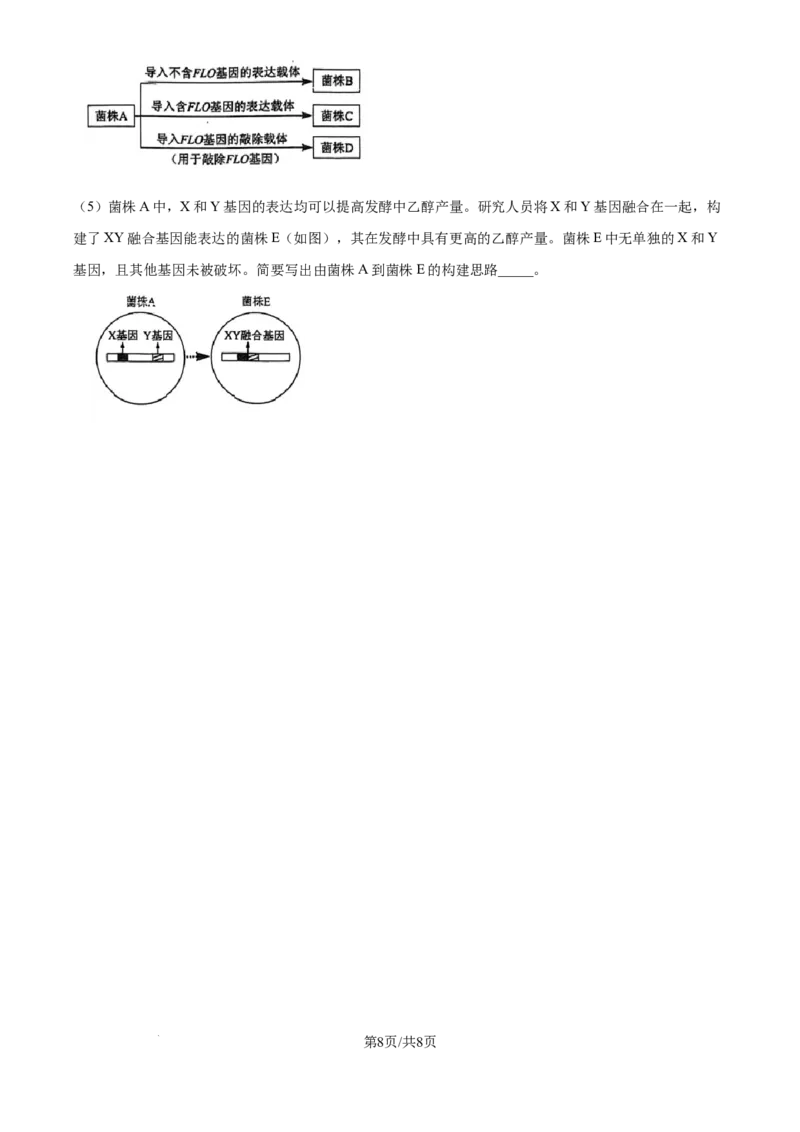 2024年高考生物真题（海南）（空白卷）_生物历年高考真题_新&middot;Word版2008-2025&middot;高考生物真题_生物（按年份分类）2008-2025_2024&middot;高考生物真题