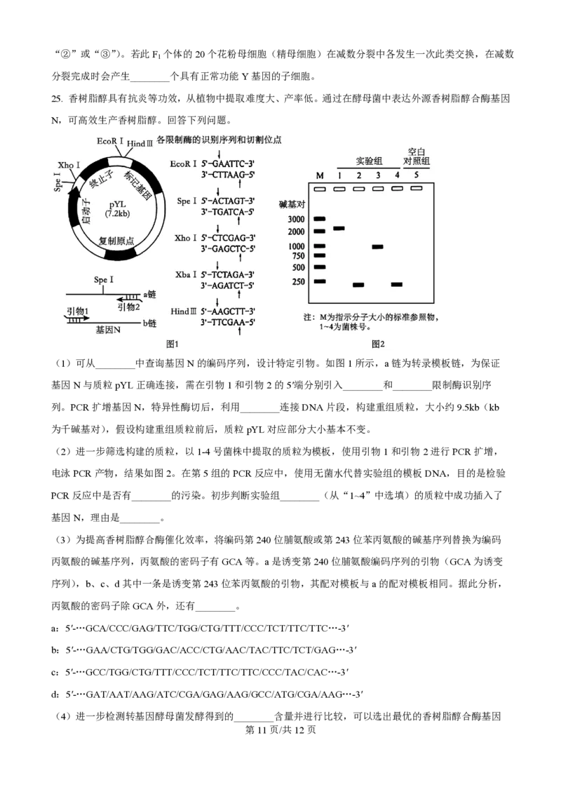 2025年高考生物试卷（黑吉辽蒙卷）（空白卷）_生物历年高考真题_新&middot;PDF版2008-2025&middot;高考生物真题_生物（按年份分类）2008-2025_2025&middot;高考生物真题