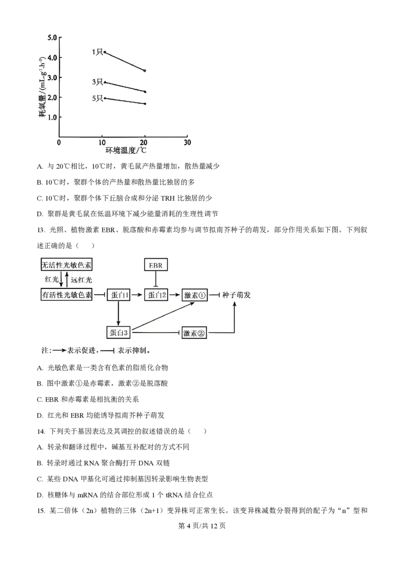 2025年高考生物试卷（黑吉辽蒙卷）（空白卷）_生物历年高考真题_新&middot;PDF版2008-2025&middot;高考生物真题_生物（按年份分类）2008-2025_2025&middot;高考生物真题