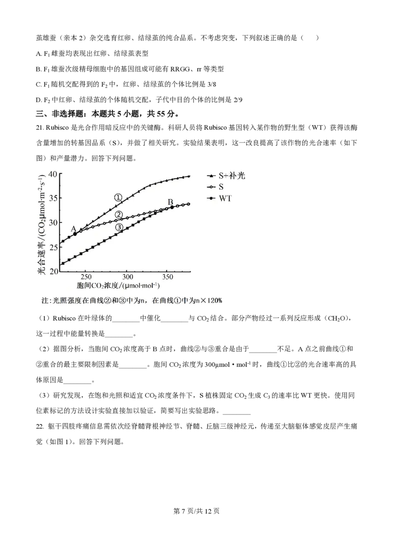 2025年高考生物试卷（黑吉辽蒙卷）（空白卷）_生物历年高考真题_新&middot;PDF版2008-2025&middot;高考生物真题_生物（按年份分类）2008-2025_2025&middot;高考生物真题