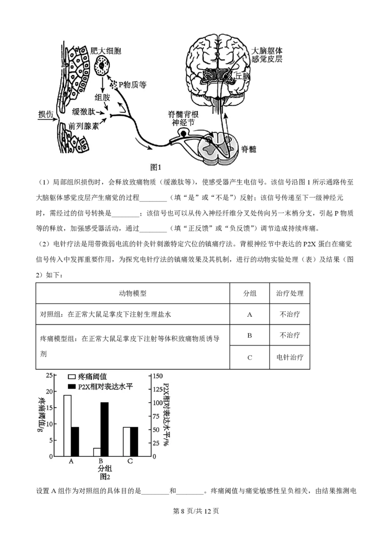 2025年高考生物试卷（黑吉辽蒙卷）（空白卷）_生物历年高考真题_新&middot;PDF版2008-2025&middot;高考生物真题_生物（按年份分类）2008-2025_2025&middot;高考生物真题