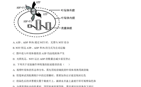 2025年高考生物试卷（黑吉辽蒙卷）（空白卷）_生物历年高考真题_新&middot;PDF版2008-2025&middot;高考生物真题_生物（按年份分类）2008-2025_2025&middot;高考生物真题