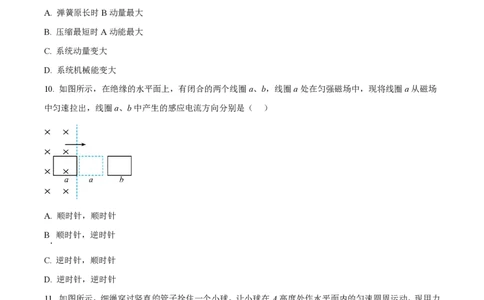2024年高考物理试卷（江苏）（空白卷）_物理历年高考真题_新&middot;PDF版2008-2025&middot;高考物理真题_物理（按年份分类）2008-2025_2024&middot;高考物理真题