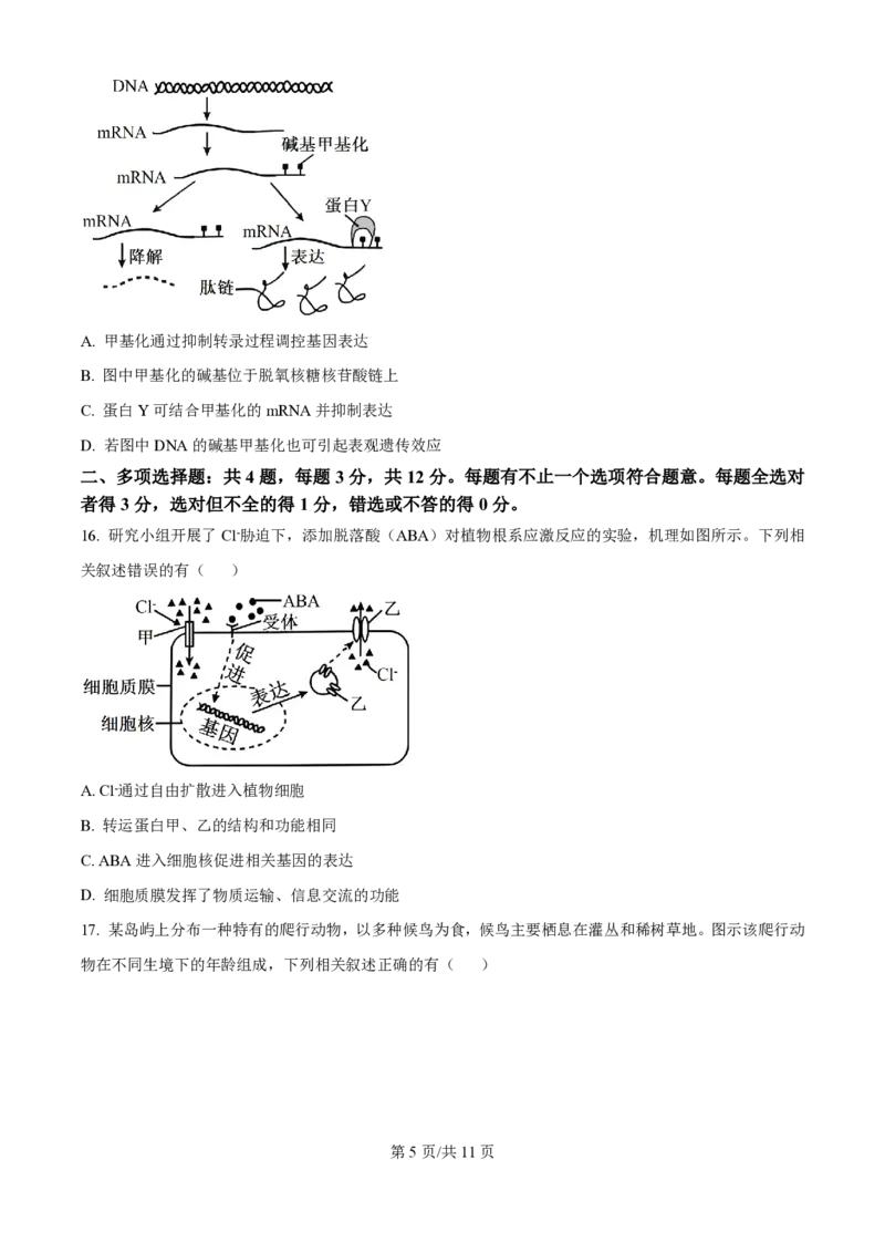 2025年高考生物试卷（江苏卷）（空白卷）_生物历年高考真题_新&middot;PDF版2008-2025&middot;高考生物真题_生物（按年份分类）2008-2025_2025&middot;高考生物真题