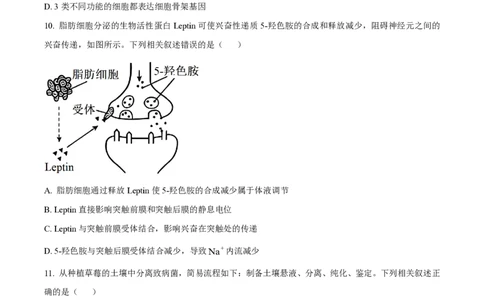 2025年高考生物试卷（江苏卷）（空白卷）_生物历年高考真题_新&middot;PDF版2008-2025&middot;高考生物真题_生物（按年份分类）2008-2025_2025&middot;高考生物真题