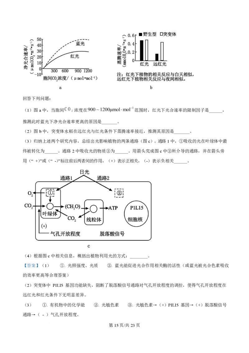 2025年高考生物试卷（广东卷）（解析卷）_生物历年高考真题_新&middot;PDF版2008-2025&middot;高考生物真题_生物（按年份分类）2008-2025_2025&middot;高考生物真题
