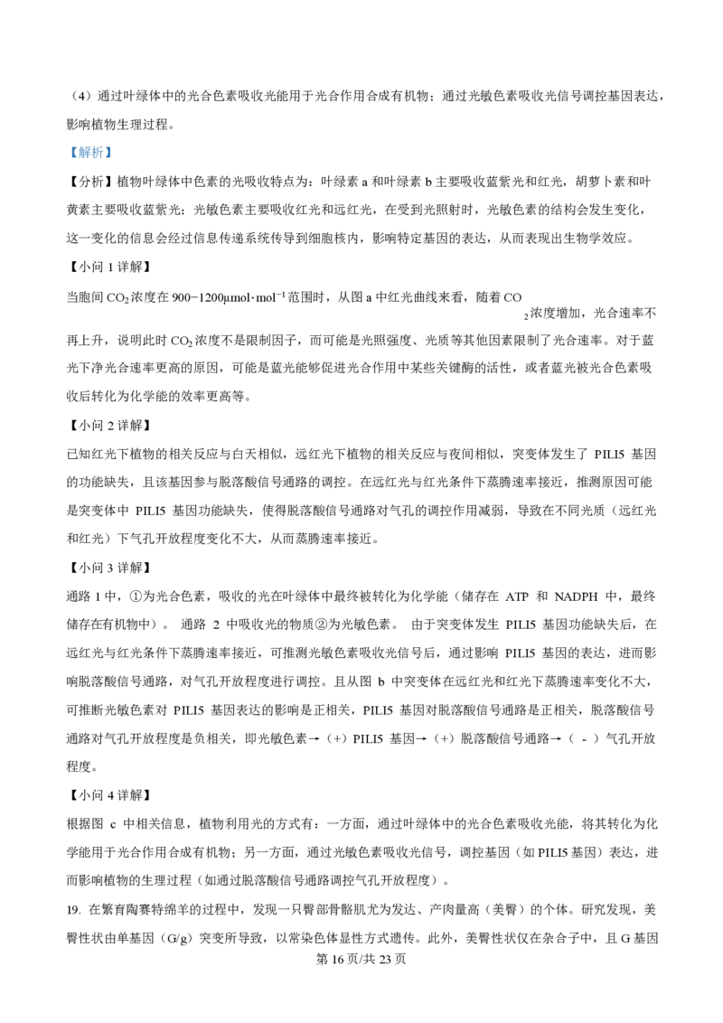 2025年高考生物试卷（广东卷）（解析卷）_生物历年高考真题_新&middot;PDF版2008-2025&middot;高考生物真题_生物（按年份分类）2008-2025_2025&middot;高考生物真题