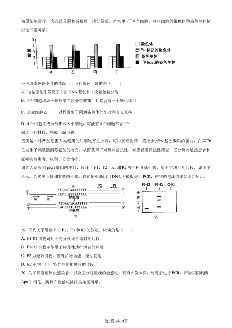 2024年高考生物试卷（浙江）（6月）（空白卷）_生物历年高考真题_新&middot;Word版2008-2025&middot;高考生物真题_生物（按年份分类）2008-2025_2024&middot;高考生物真题