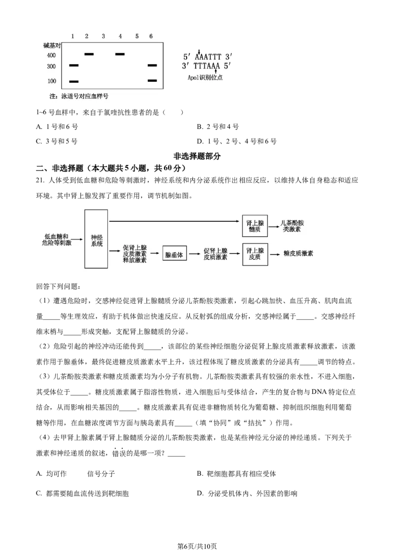 2024年高考生物试卷（浙江）（6月）（空白卷）_生物历年高考真题_新&middot;Word版2008-2025&middot;高考生物真题_生物（按年份分类）2008-2025_2024&middot;高考生物真题