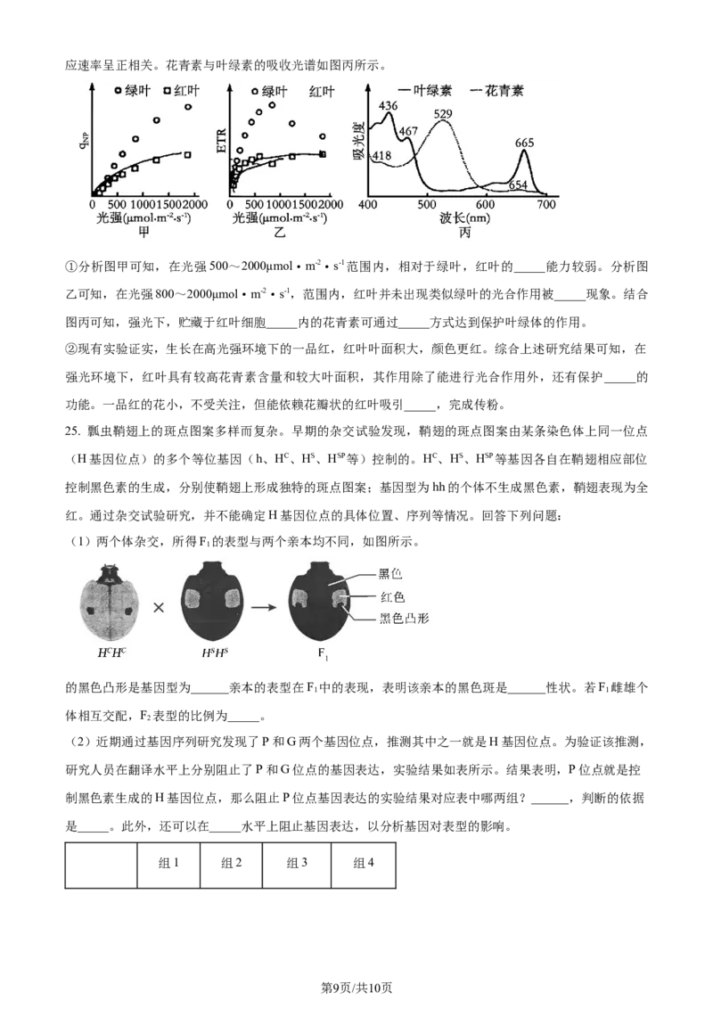 2024年高考生物试卷（浙江）（6月）（空白卷）_生物历年高考真题_新&middot;Word版2008-2025&middot;高考生物真题_生物（按年份分类）2008-2025_2024&middot;高考生物真题