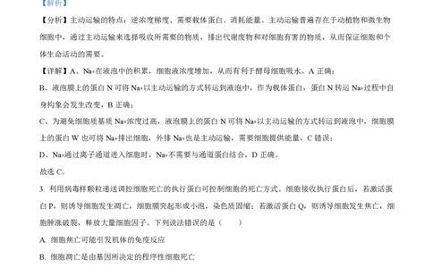 2025年高考生物试卷（山东卷）（解析卷）_生物历年高考真题_新&middot;PDF版2008-2025&middot;高考生物真题_生物（按年份分类）2008-2025_2025&middot;高考生物真题