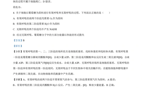 2025年高考生物试卷（山东卷）（解析卷）_生物历年高考真题_新&middot;PDF版2008-2025&middot;高考生物真题_生物（按年份分类）2008-2025_2025&middot;高考生物真题