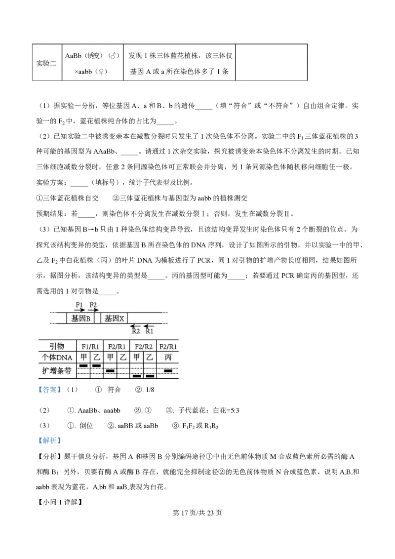2025年高考生物试卷（山东卷）（解析卷）_生物历年高考真题_新&middot;PDF版2008-2025&middot;高考生物真题_生物（按年份分类）2008-2025_2025&middot;高考生物真题