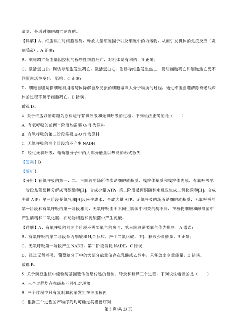 2025年高考生物试卷（山东卷）（解析卷）_生物历年高考真题_新&middot;PDF版2008-2025&middot;高考生物真题_生物（按年份分类）2008-2025_2025&middot;高考生物真题