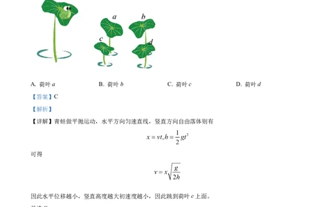 2024年高考物理试卷（湖北）（解析卷）_物理历年高考真题_新&middot;Word版2008-2025&middot;高考物理真题_物理（按年份分类）2008-2025_2024&middot;高考物理真题