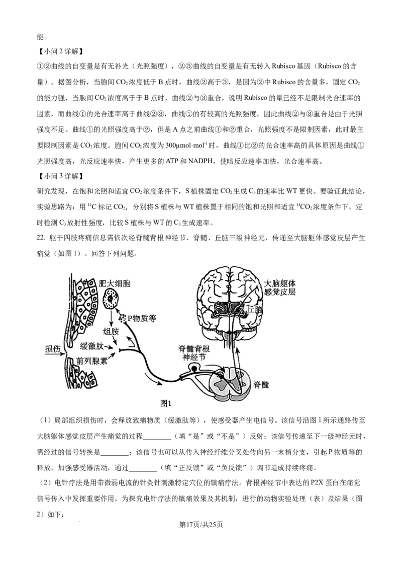 2025年高考生物试卷（黑吉辽蒙卷）（解析卷）_生物历年高考真题_新&middot;Word版2008-2025&middot;高考生物真题_生物（按年份分类）2008-2025_2025&middot;高考生物真题