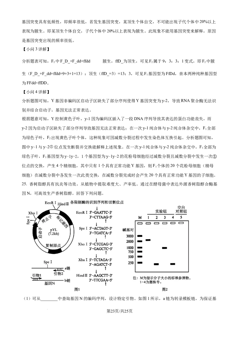 2025年高考生物试卷（黑吉辽蒙卷）（解析卷）_生物历年高考真题_新&middot;Word版2008-2025&middot;高考生物真题_生物（按年份分类）2008-2025_2025&middot;高考生物真题