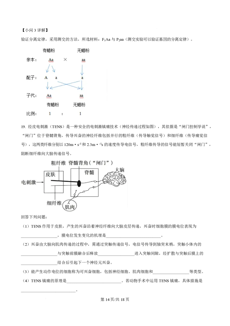 2025年高考生物试卷（云南卷）（解析卷）_生物历年高考真题_新&middot;PDF版2008-2025&middot;高考生物真题_生物（按年份分类）2008-2025_2025&middot;高考生物真题