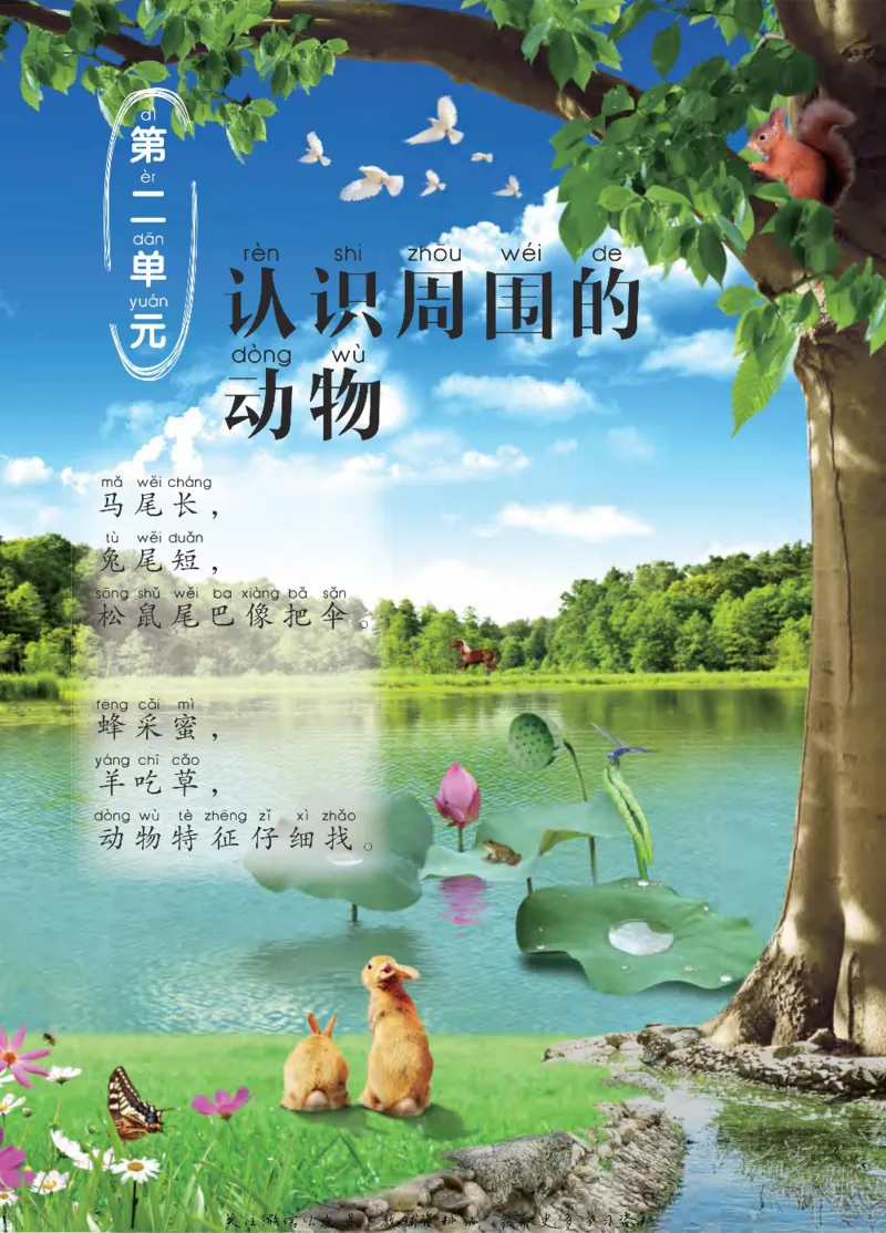 一年级下册科学青岛五四制电子课本_全部版本&bull;小学科学电子课本_青岛版54制小学科学课本