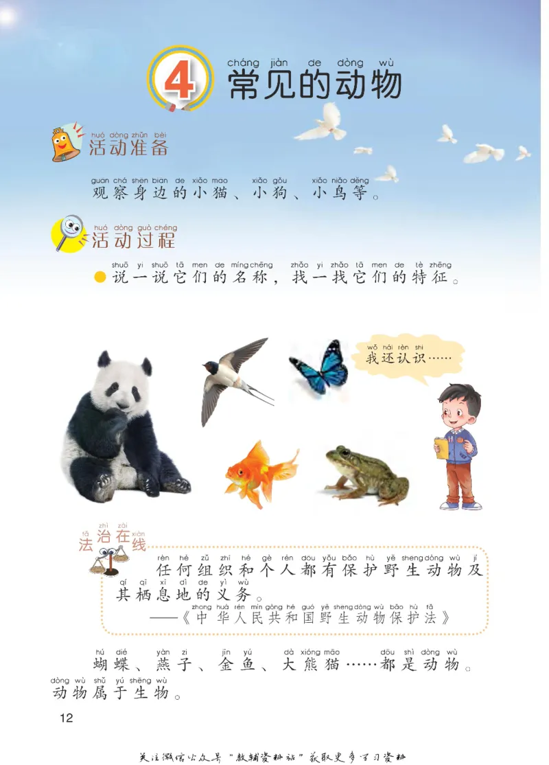 一年级下册科学青岛五四制电子课本_全部版本&bull;小学科学电子课本_青岛版54制小学科学课本