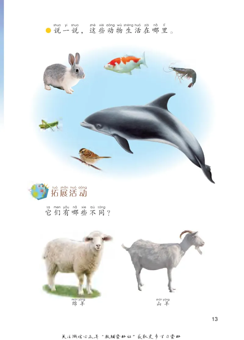 一年级下册科学青岛五四制电子课本_全部版本&bull;小学科学电子课本_青岛版54制小学科学课本