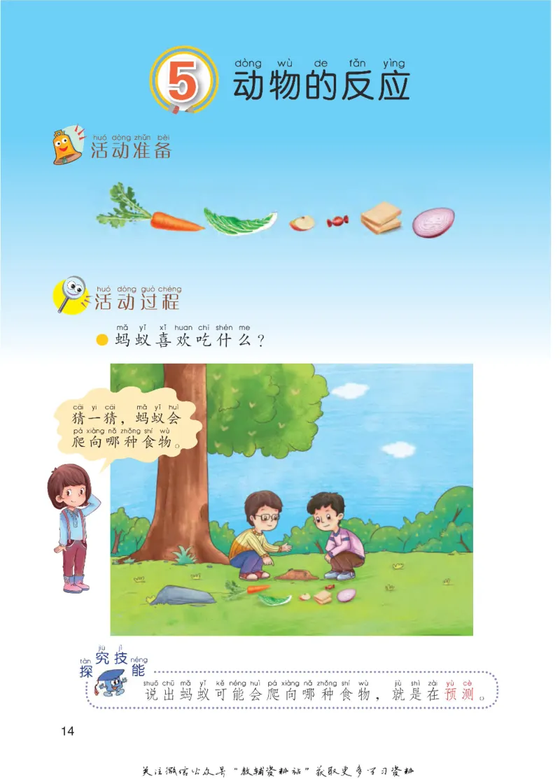 一年级下册科学青岛五四制电子课本_全部版本&bull;小学科学电子课本_青岛版54制小学科学课本