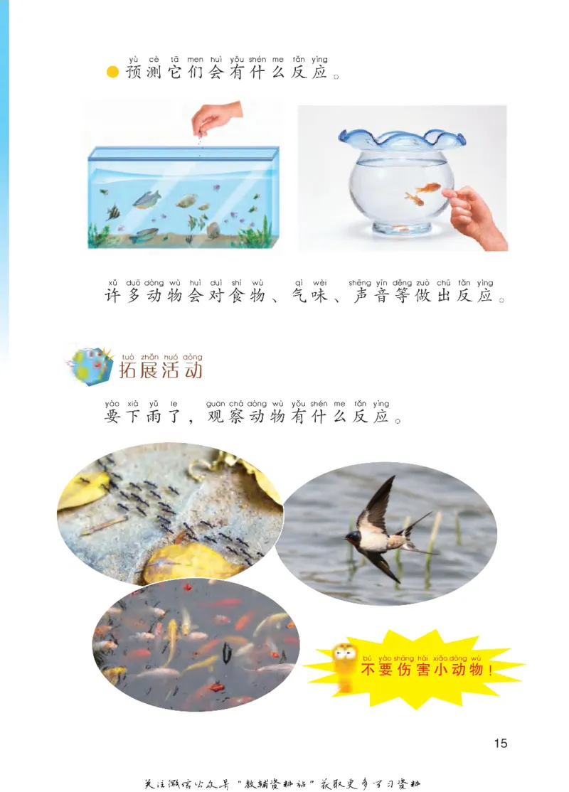 一年级下册科学青岛五四制电子课本_全部版本&bull;小学科学电子课本_青岛版54制小学科学课本