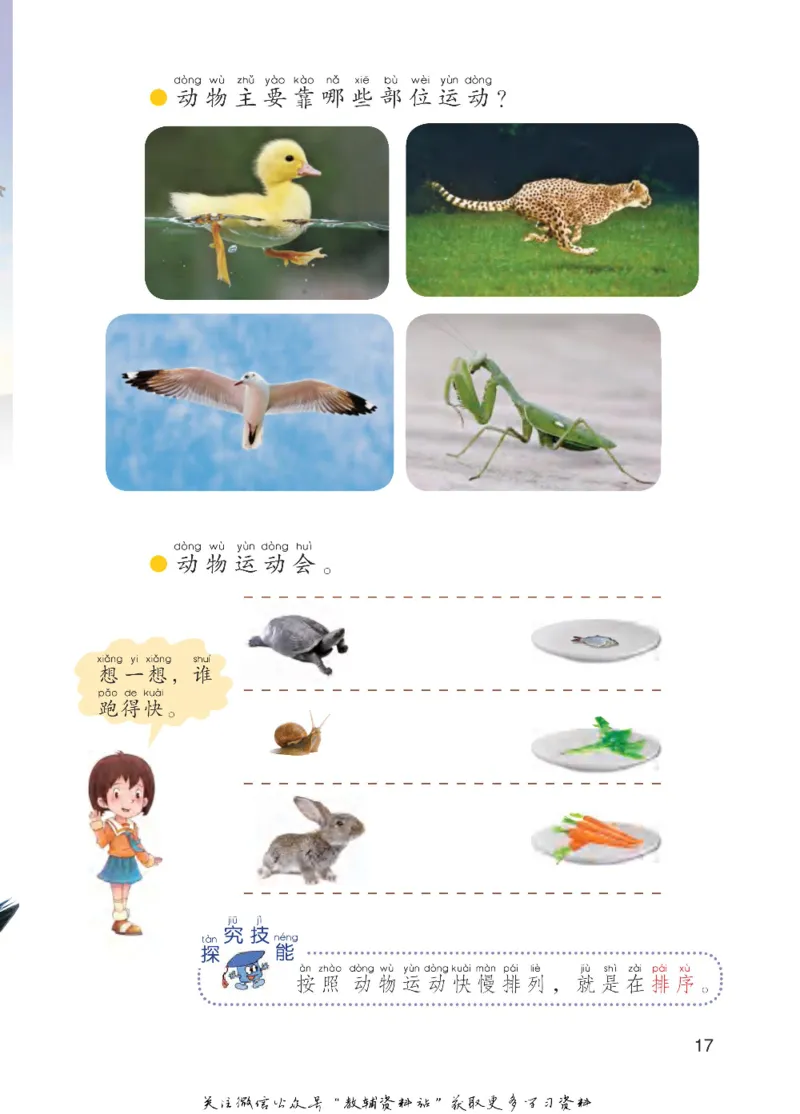 一年级下册科学青岛五四制电子课本_全部版本&bull;小学科学电子课本_青岛版54制小学科学课本