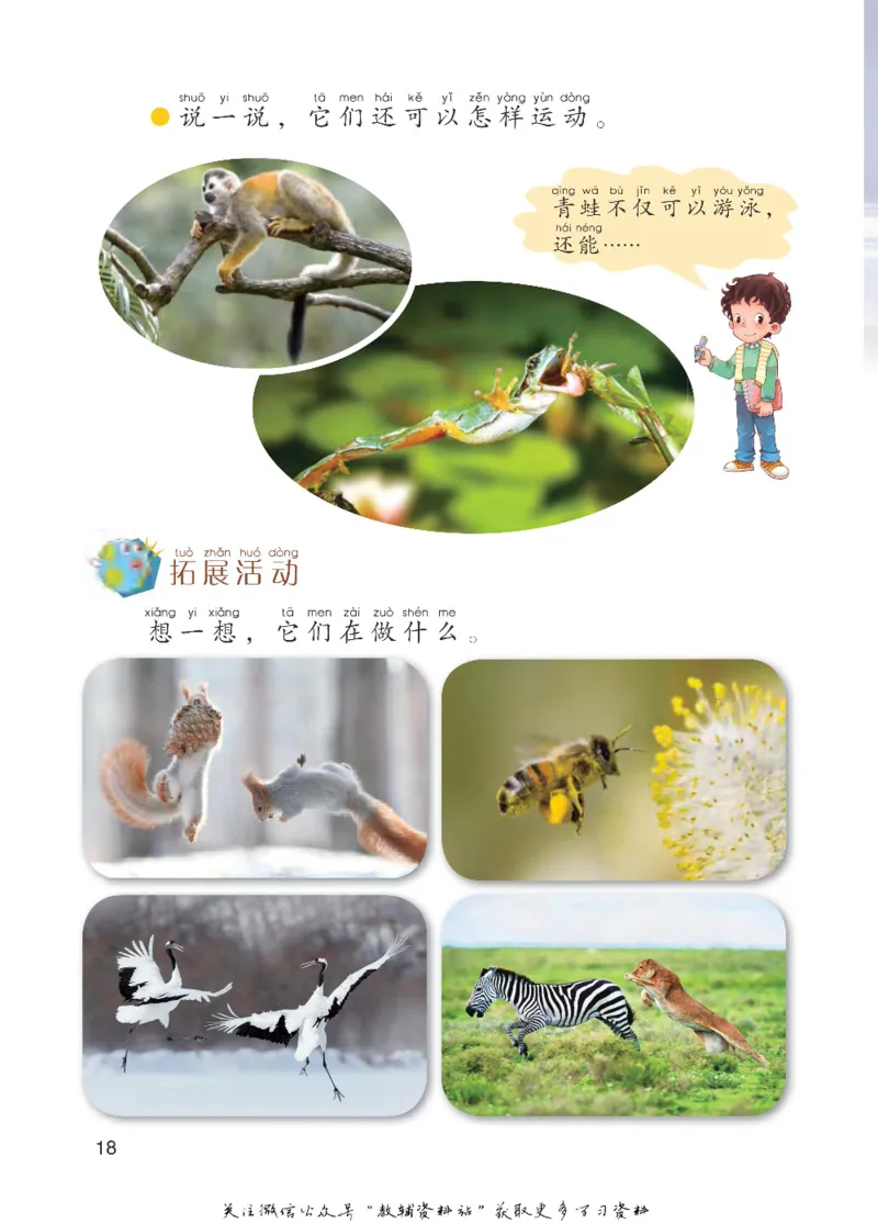 一年级下册科学青岛五四制电子课本_全部版本&bull;小学科学电子课本_青岛版54制小学科学课本