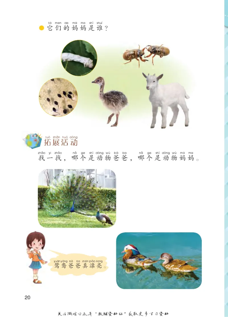 一年级下册科学青岛五四制电子课本_全部版本&bull;小学科学电子课本_青岛版54制小学科学课本