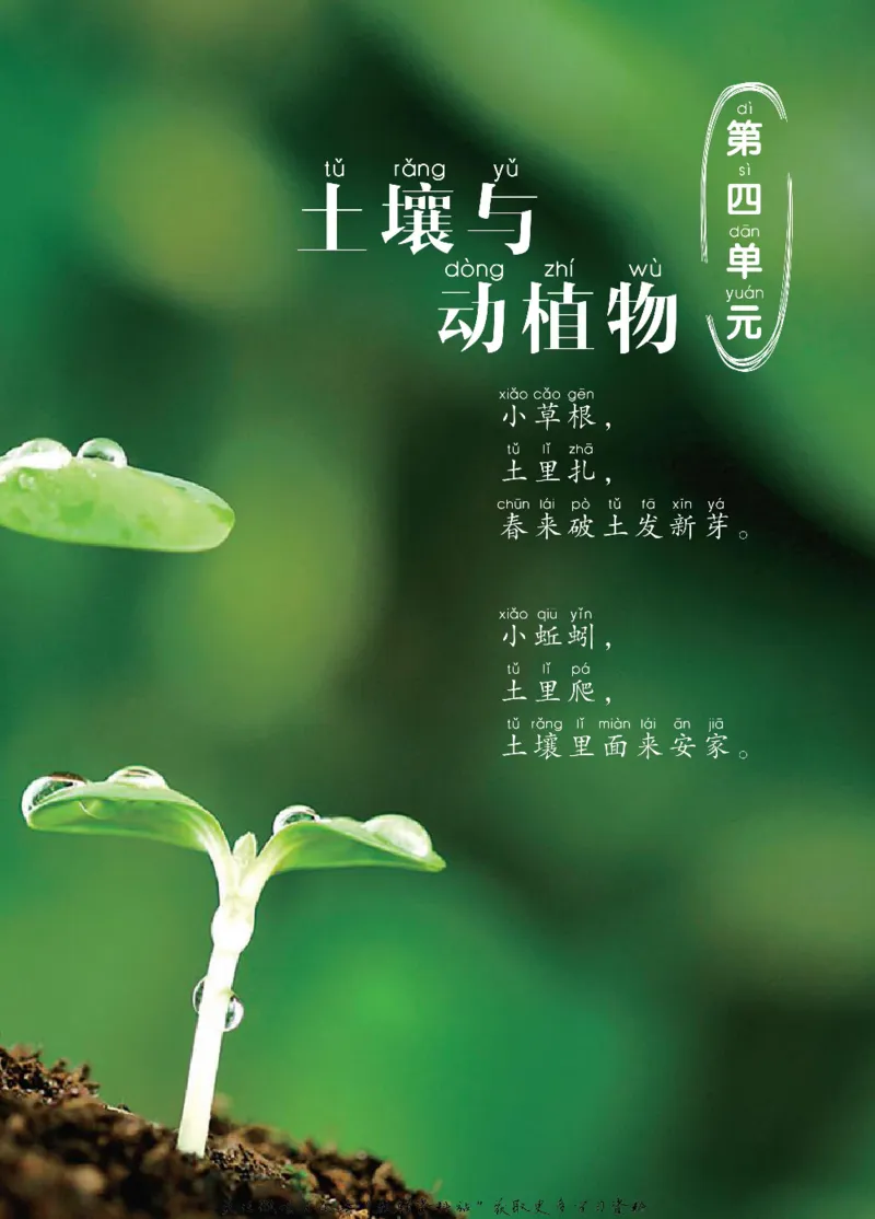 一年级下册科学青岛五四制电子课本_全部版本&bull;小学科学电子课本_青岛版54制小学科学课本