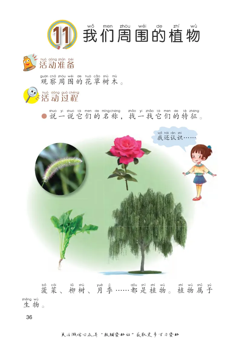 一年级下册科学青岛五四制电子课本_全部版本&bull;小学科学电子课本_青岛版54制小学科学课本