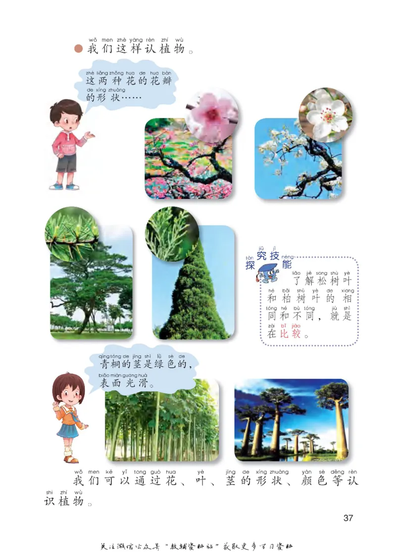 一年级下册科学青岛五四制电子课本_全部版本&bull;小学科学电子课本_青岛版54制小学科学课本