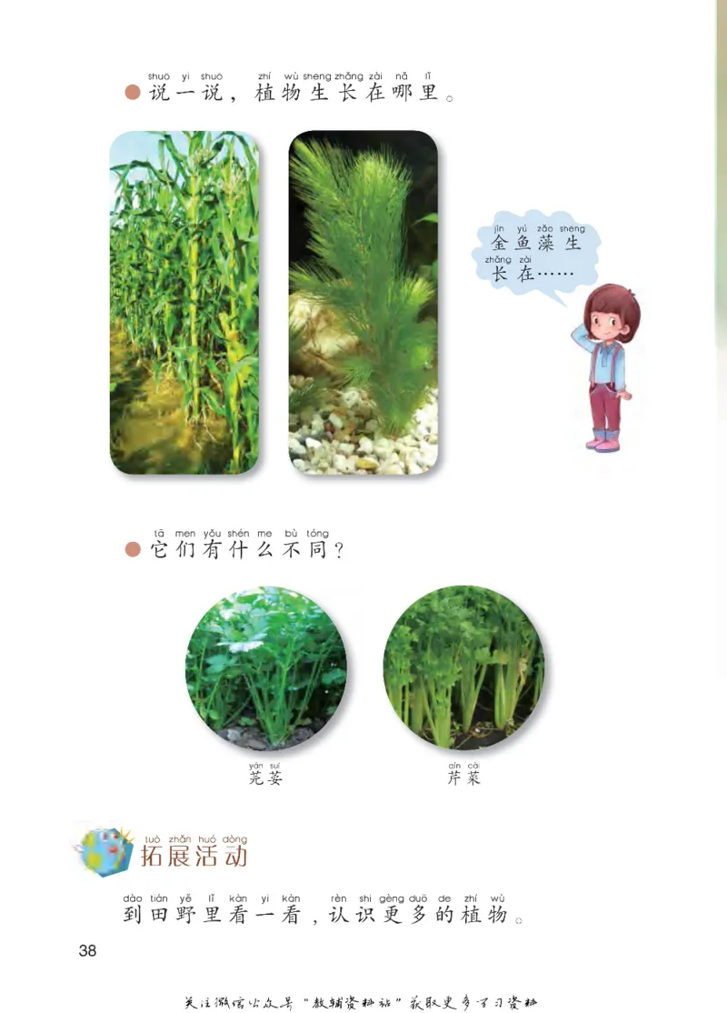 一年级下册科学青岛五四制电子课本_全部版本&bull;小学科学电子课本_青岛版54制小学科学课本