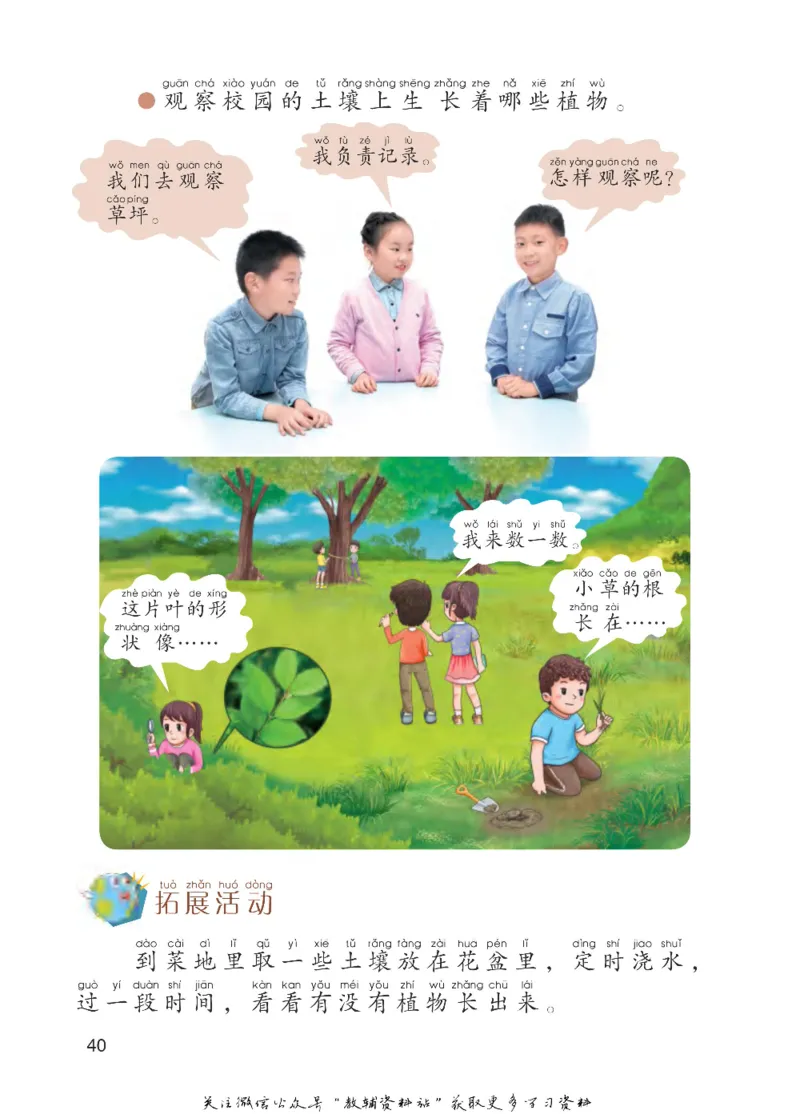 一年级下册科学青岛五四制电子课本_全部版本&bull;小学科学电子课本_青岛版54制小学科学课本