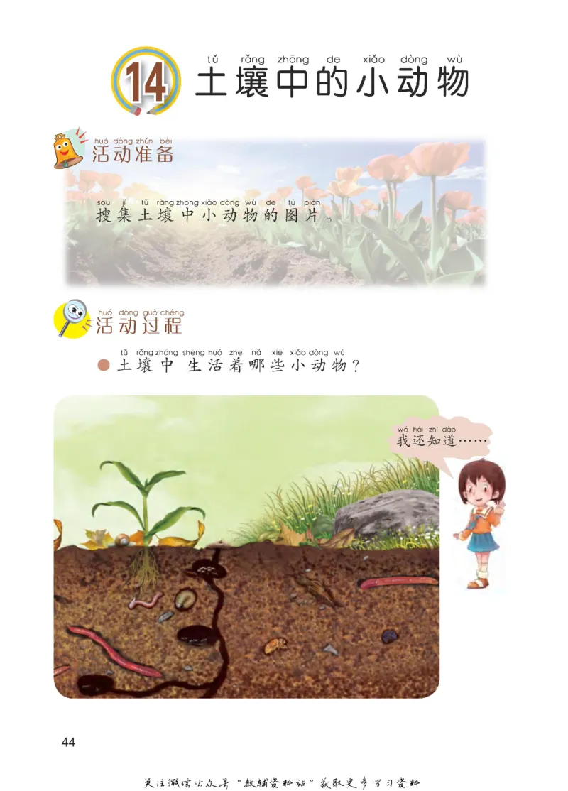 一年级下册科学青岛五四制电子课本_全部版本&bull;小学科学电子课本_青岛版54制小学科学课本