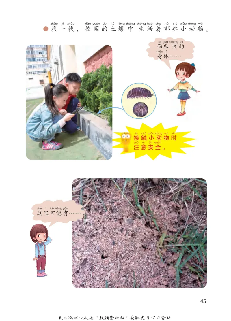 一年级下册科学青岛五四制电子课本_全部版本&bull;小学科学电子课本_青岛版54制小学科学课本