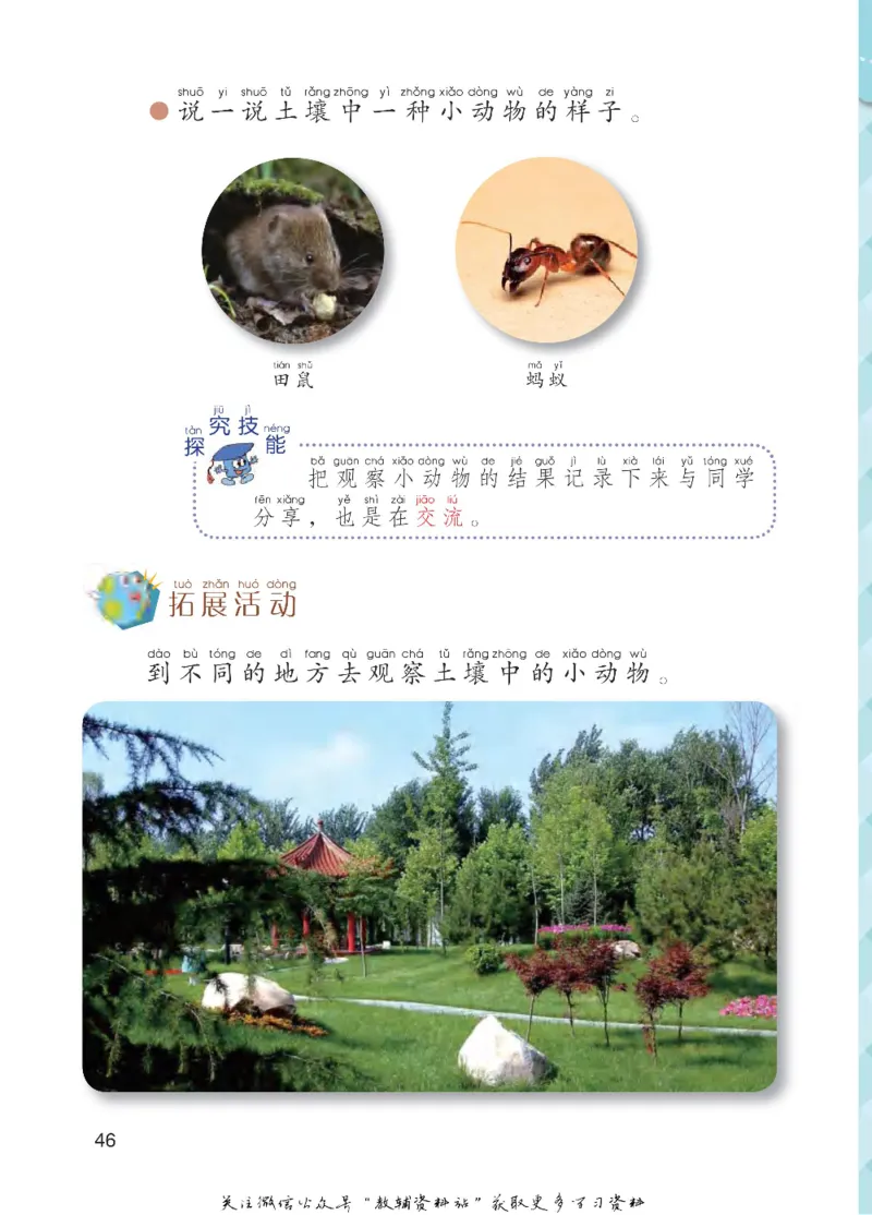 一年级下册科学青岛五四制电子课本_全部版本&bull;小学科学电子课本_青岛版54制小学科学课本