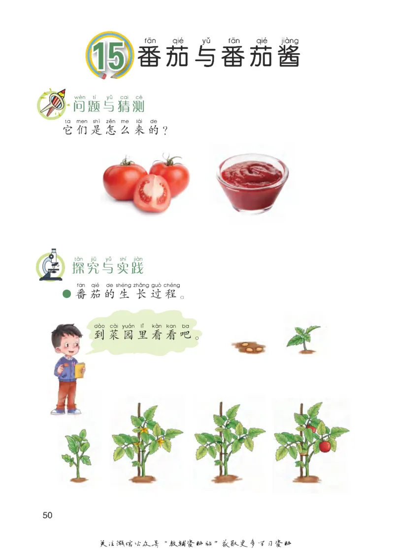 一年级下册科学青岛五四制电子课本_全部版本&bull;小学科学电子课本_青岛版54制小学科学课本