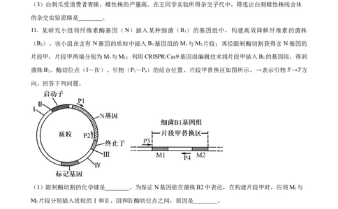 2024年高考生物试卷（新课标）（空白卷）_生物历年高考真题_新&middot;Word版2008-2025&middot;高考生物真题_生物（按年份分类）2008-2025_2024&middot;高考生物真题