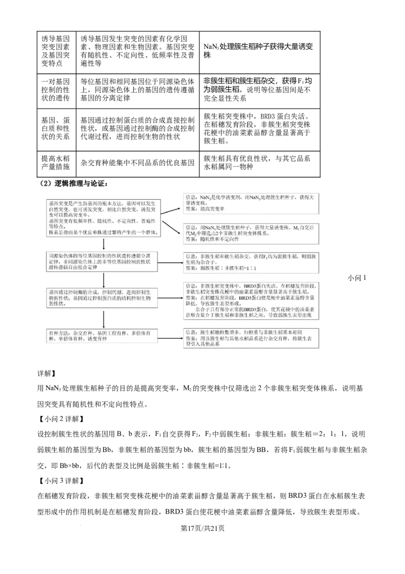 2024年高考生物试卷（福建）（解析卷）_生物历年高考真题_新&middot;Word版2008-2025&middot;高考生物真题_生物（按年份分类）2008-2025_2024&middot;高考生物真题