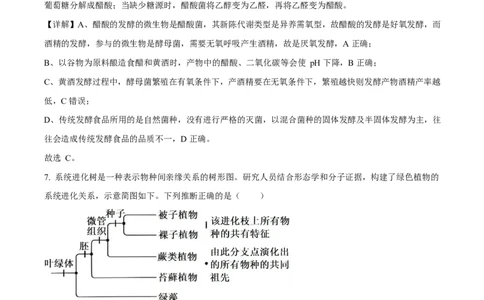 2025年高考生物试卷（河南卷）（解析卷）_生物历年高考真题_新&middot;Word版2008-2025&middot;高考生物真题_生物（按年份分类）2008-2025_2025&middot;高考生物真题