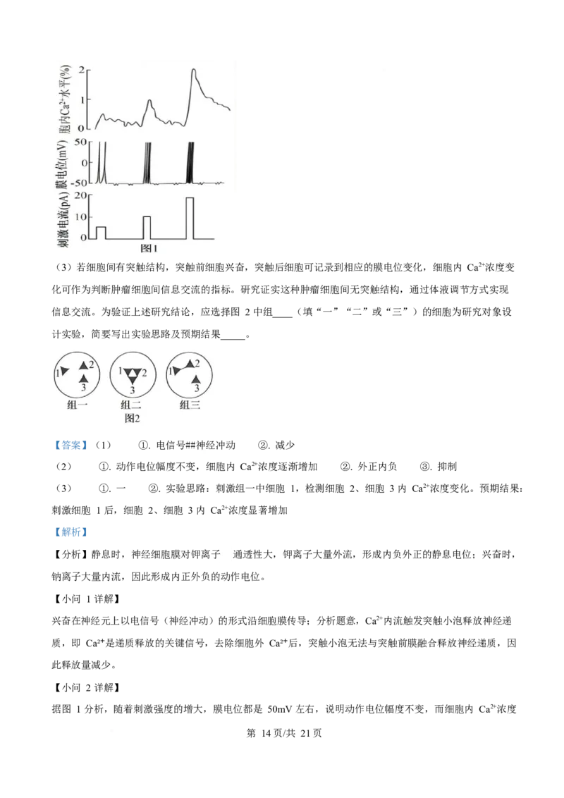 2025年高考生物试卷（河南卷）（解析卷）_生物历年高考真题_新&middot;Word版2008-2025&middot;高考生物真题_生物（按年份分类）2008-2025_2025&middot;高考生物真题