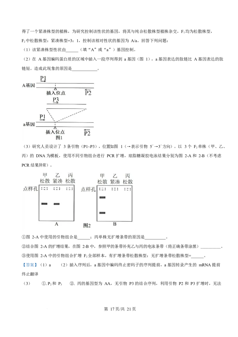 2025年高考生物试卷（河南卷）（解析卷）_生物历年高考真题_新&middot;Word版2008-2025&middot;高考生物真题_生物（按年份分类）2008-2025_2025&middot;高考生物真题